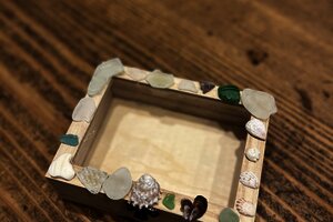 美しいイソギンチャク