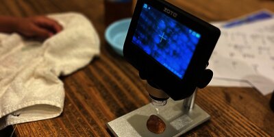 顕微鏡でプランクトン観察