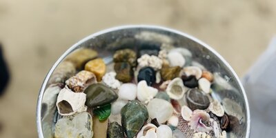 ビーチコーミング