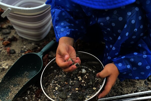 子どもたちの探検の様子